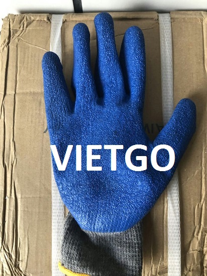 vietgo-xuất-khẩu-găng-tay-Dubai